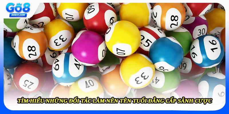 Tìm hiểu những đối tác làm nên tên tuổi đẳng cấp sảnh cược